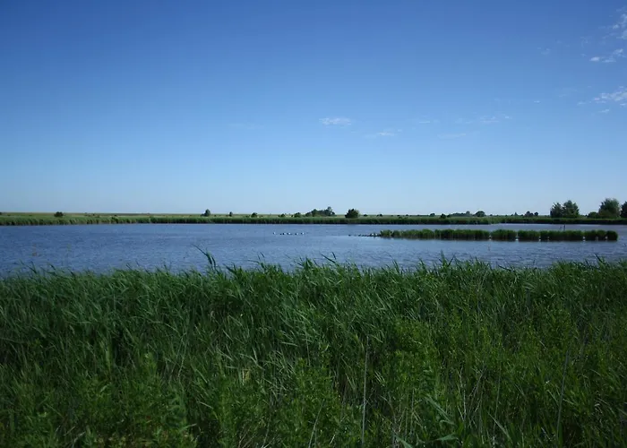 Apartament Gulfhof *